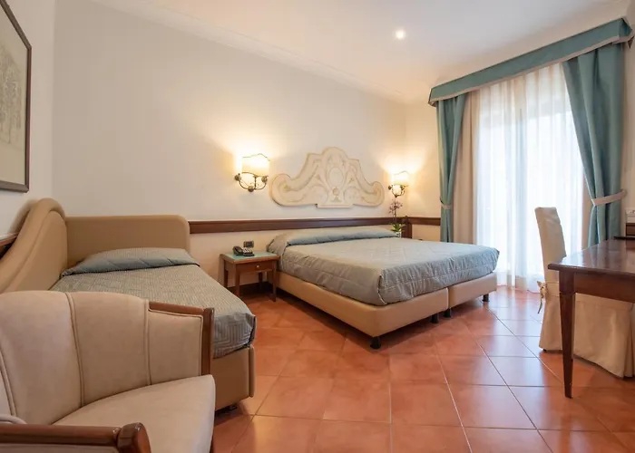 فندق Michelangelo 4*