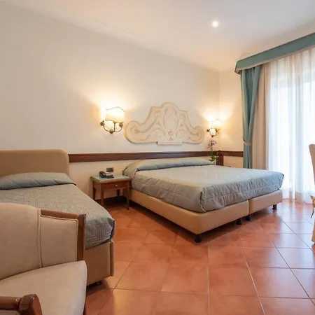 فندق Michelangelo 4*